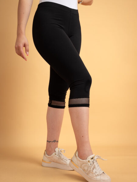 TAJICE 3/4 AZURA CRNE